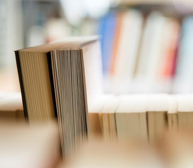 Close-up image showing the leaf-sides of two oversized books side-by-side on a bookshelf, with additional books in soft focus background